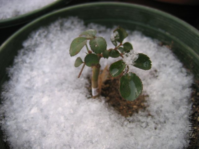 ��Ƭ 1245.jpg
