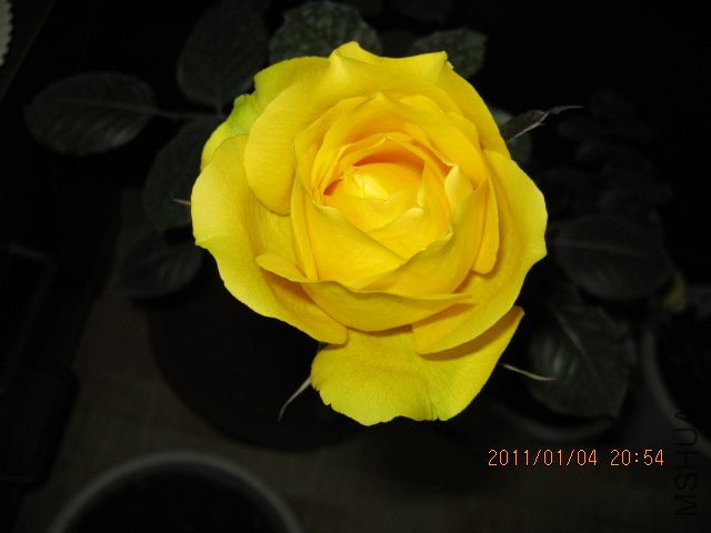 IMG_0323.JPG