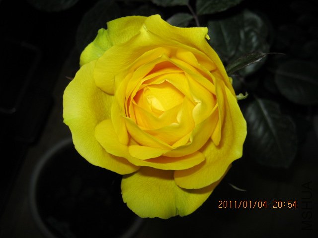 IMG_0322.JPG