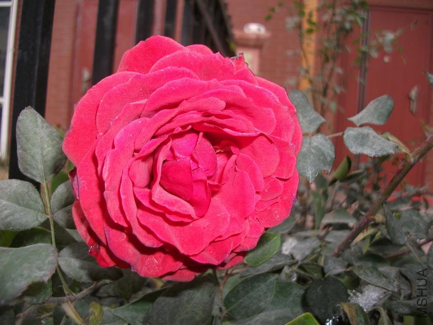 DSCF0731.JPG