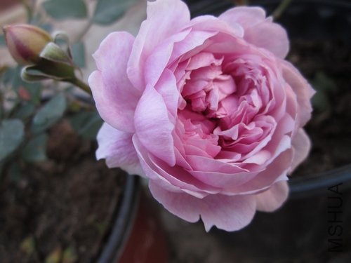 ��Ƭ1 1042.jpg