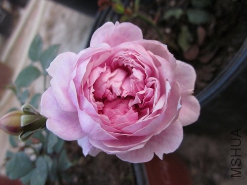 ��Ƭ1 1041.jpg