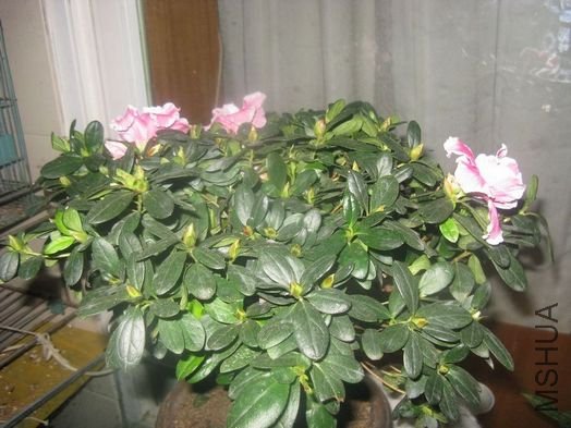 ��Ƭ 028.jpg
