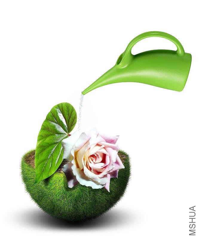 2011-01-05 07.31.54.jpg