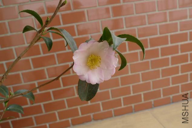 P1000881.JPG