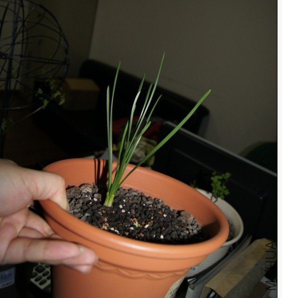 ��ˮ�� ������.jpg