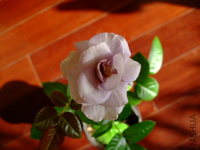 DSCF0290.JPG