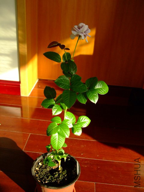 DSCF0291.JPG
