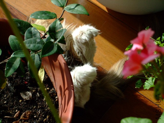 DSCF0289.JPG