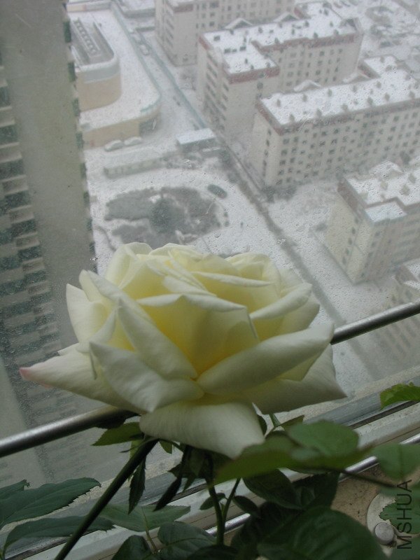 IMG_0128.jpg