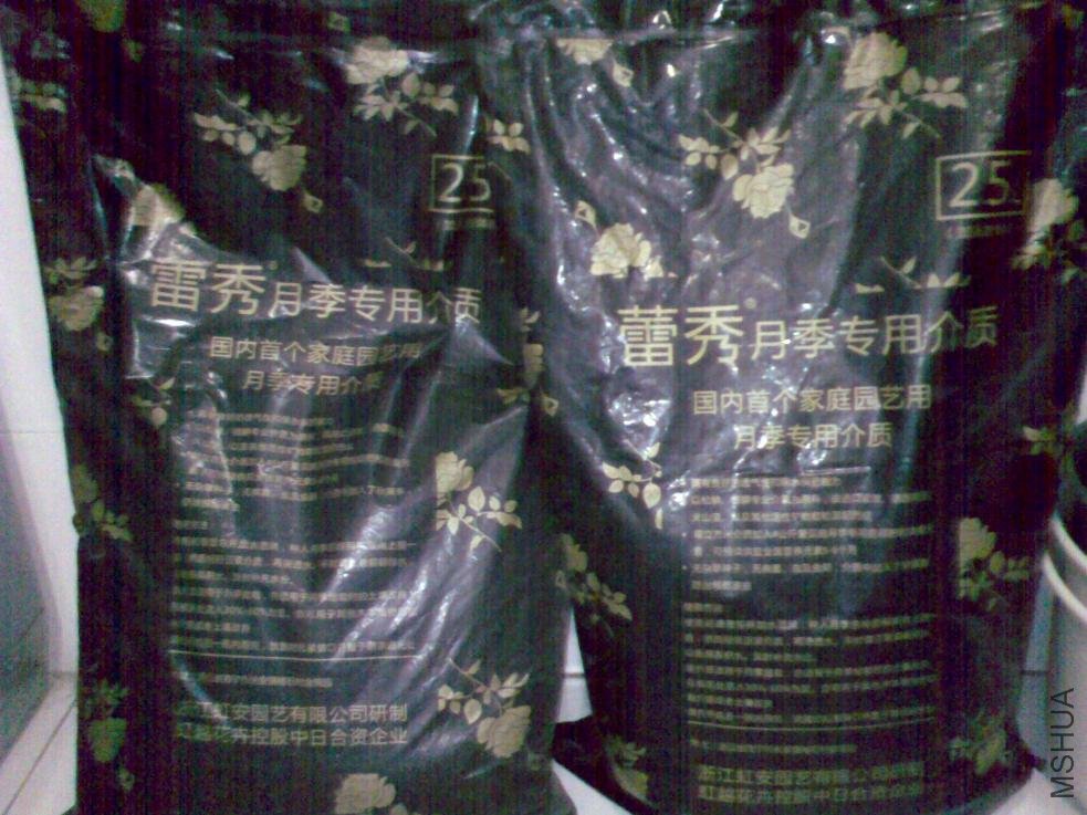20110109085.jpg