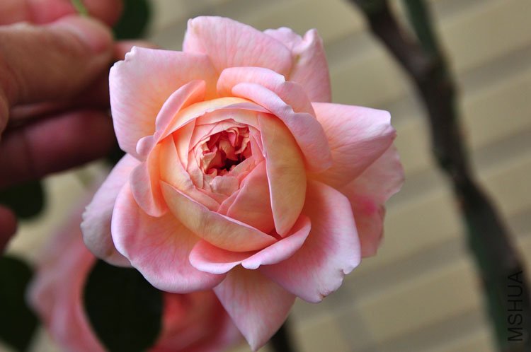DSC_9283.JPG