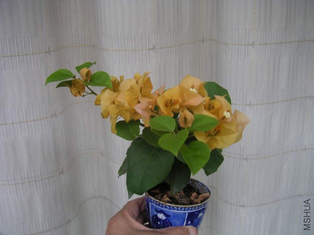 ���� 100910 09���ݻ�.JPG