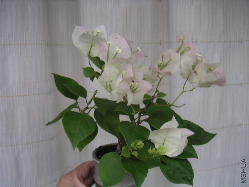 ���� 100910 10.JPG