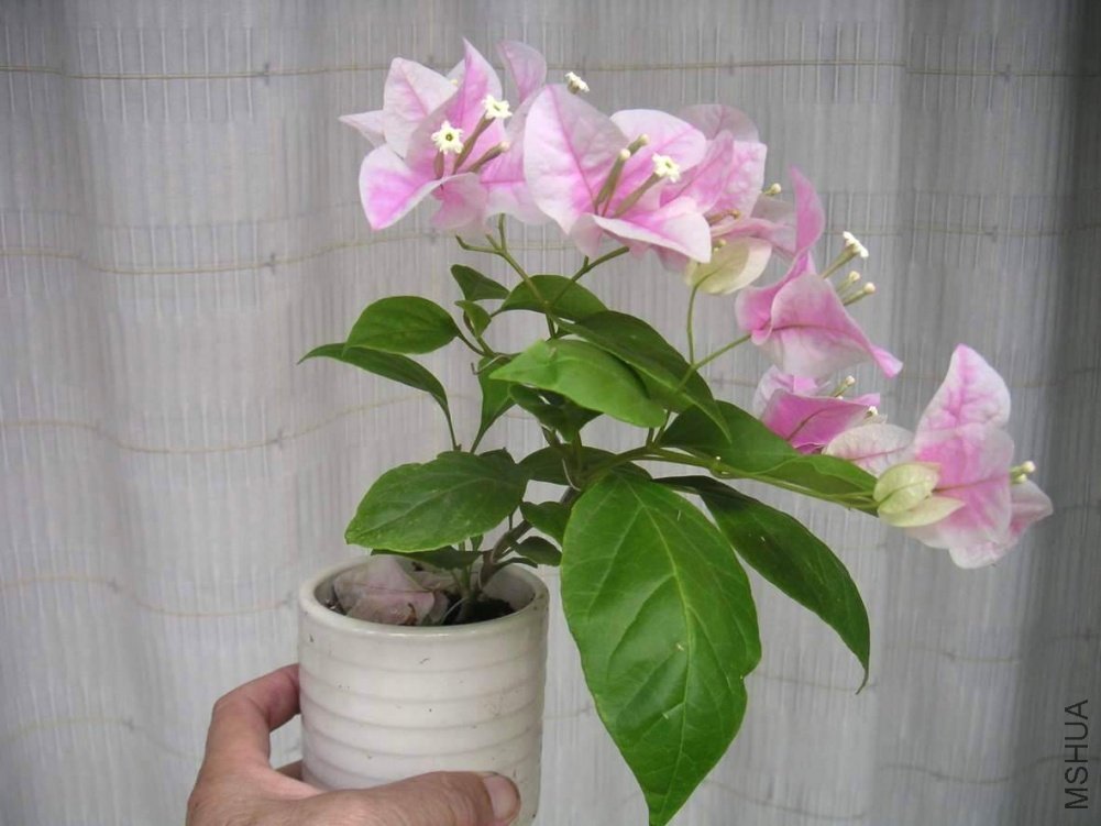 ���� 100907 26.JPG