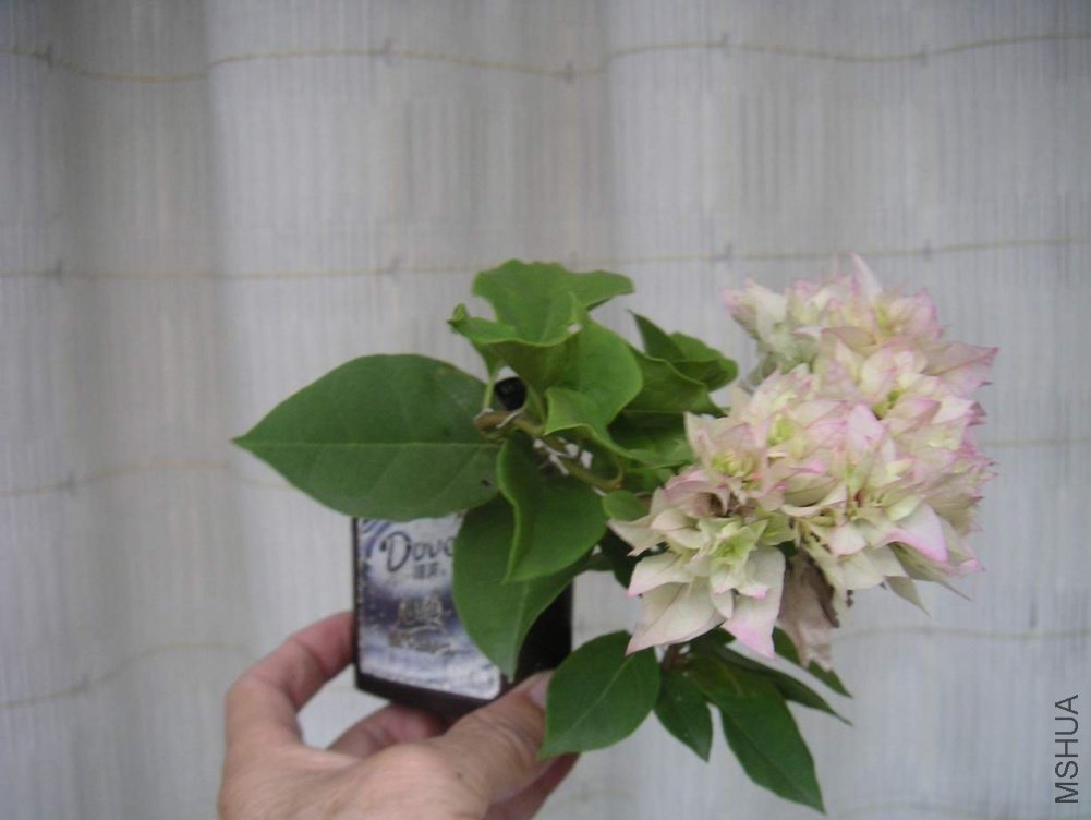 ���� 100910 14����.JPG