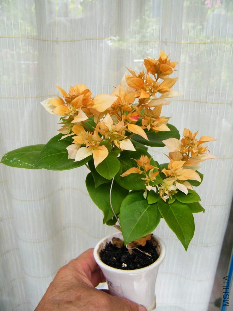 ���� 100904 032�س�.jpg