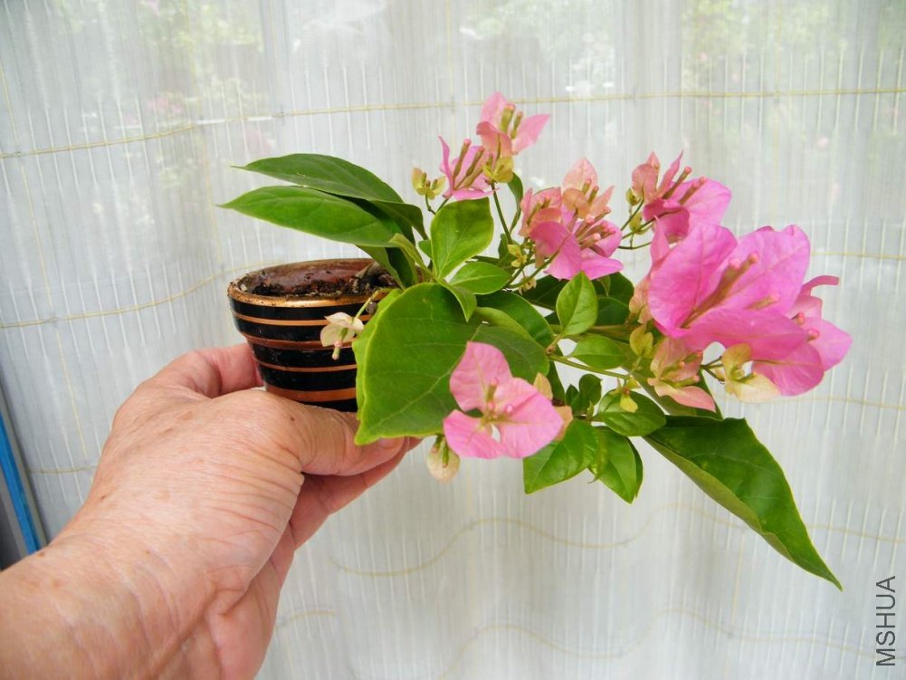 ���� 100904 024.jpg