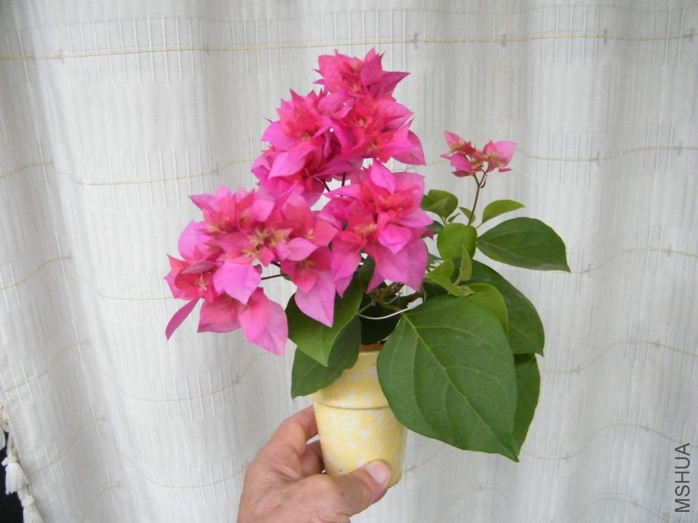 ���� 100920 030.jpg