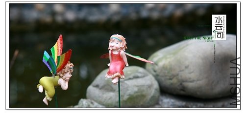 ���뷲��ľ���