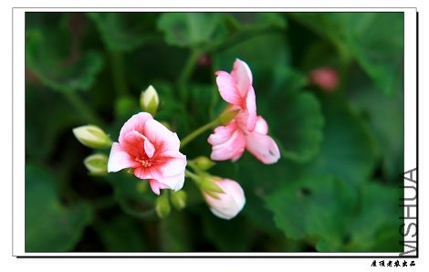 ��ǰ��ϲ�����ÿ�����Ϊ�������������ĵ������û�뵽������ʶ���Ժ�ȴ��������ò���������ˡ��Ͻ����Ǯ��