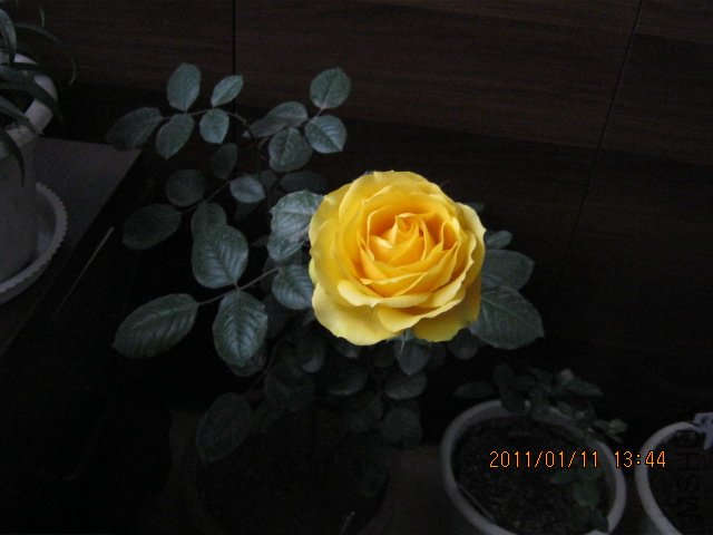 IMG_0349.JPG