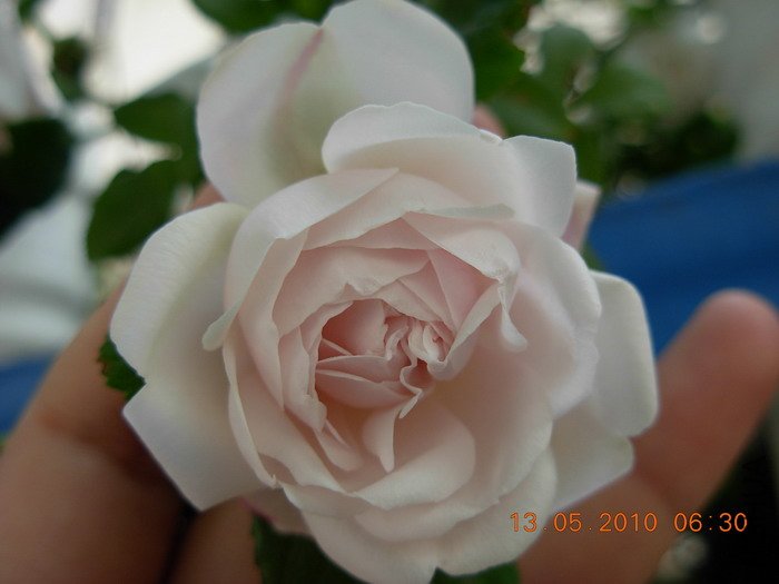 Ǿޱ2.jpg