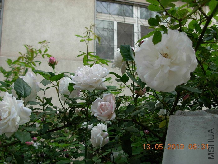 Ǿޱ4.jpg
