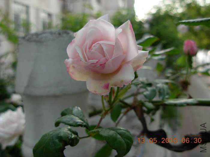 Ǿޱ3.jpg