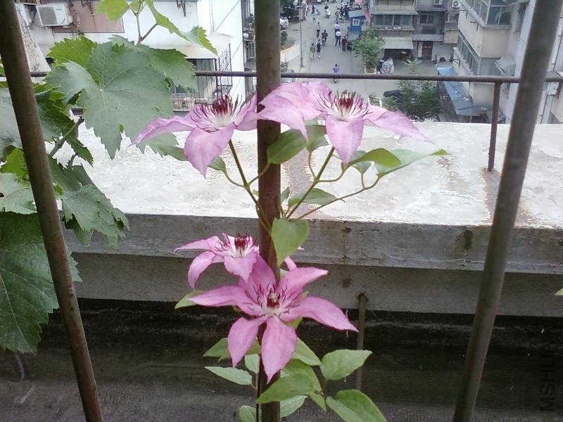 SP_A0045.jpg