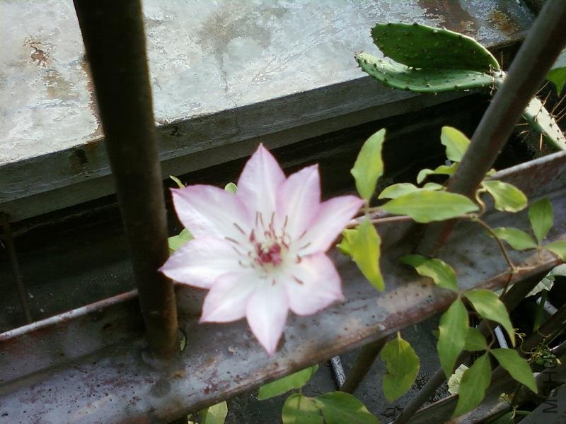 SP_A0059.jpg