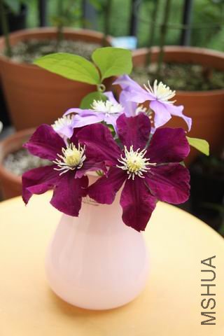 ������С ��Ƭ 034.jpg