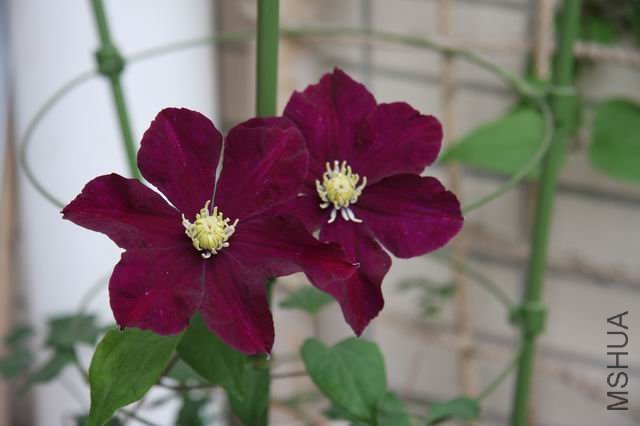 ������С ��Ƭ 025.jpg