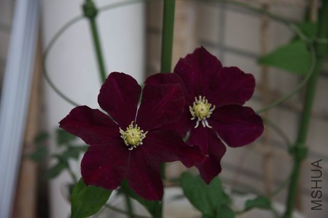 ������С ��Ƭ 024.jpg