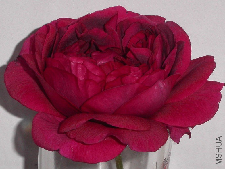 2011011304.jpg