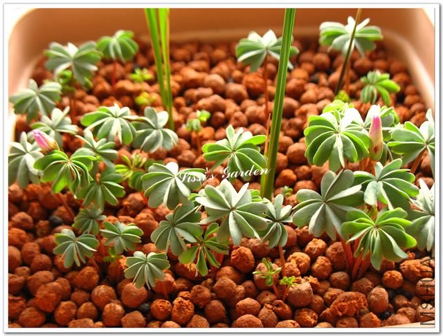 nEO-IMG-1101013 006.jpg