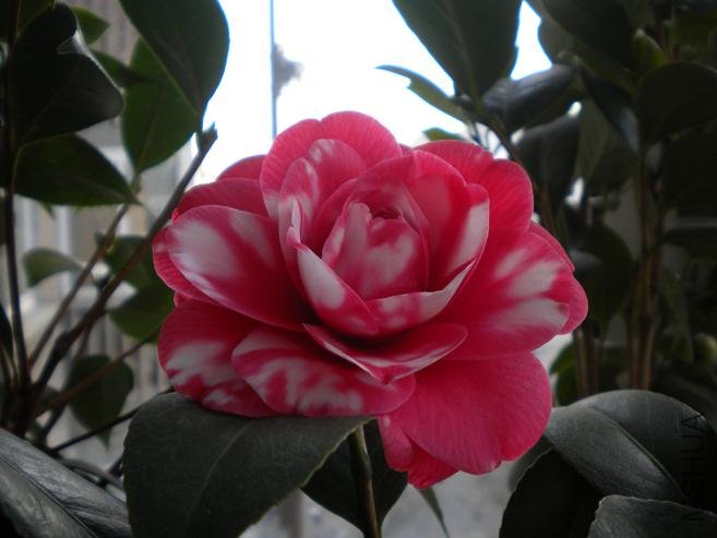 ��Ƭ 028.jpg