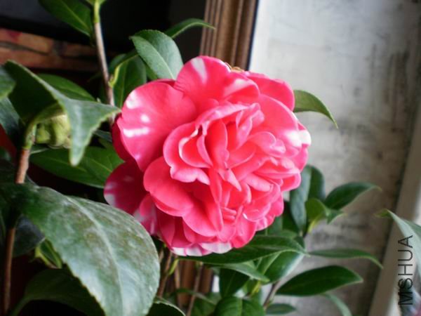 3��ɫ����