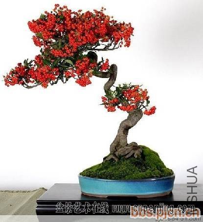 00390650v7vev7ud3jwd7v[1].jpg