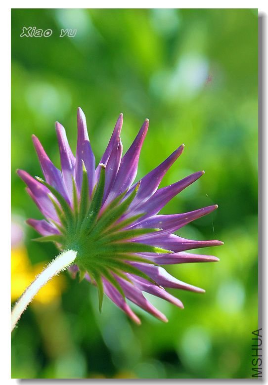 ��״��Ŀ�գ���Ӱ��