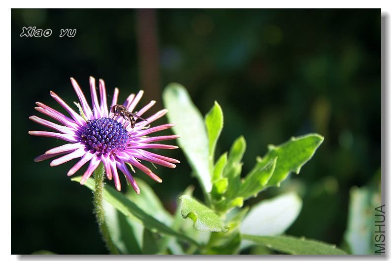 ��״��Ŀ��