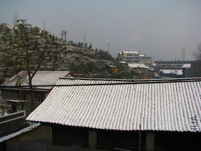 IMG_8697.JPG
