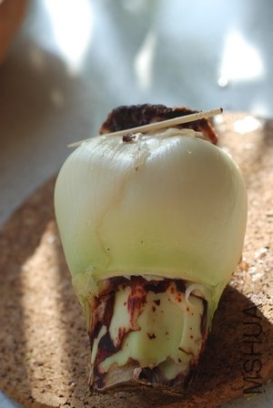 DSC_1685.jpg