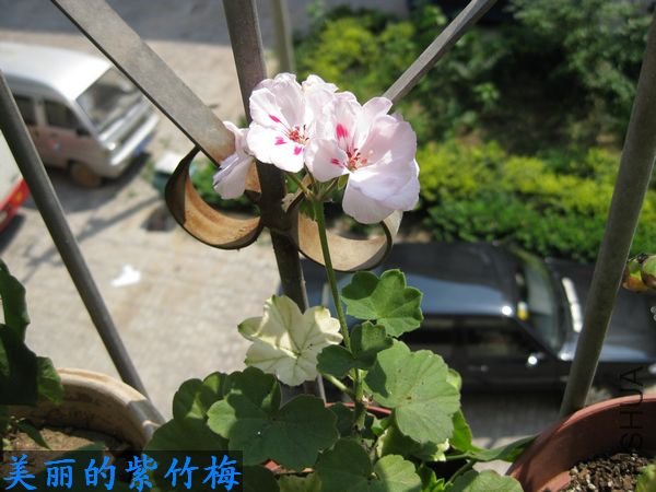 ��Ƭ 006.jpg