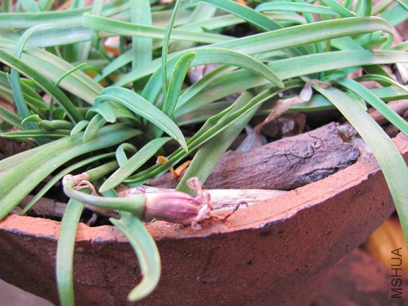 ��һ��Ļ���