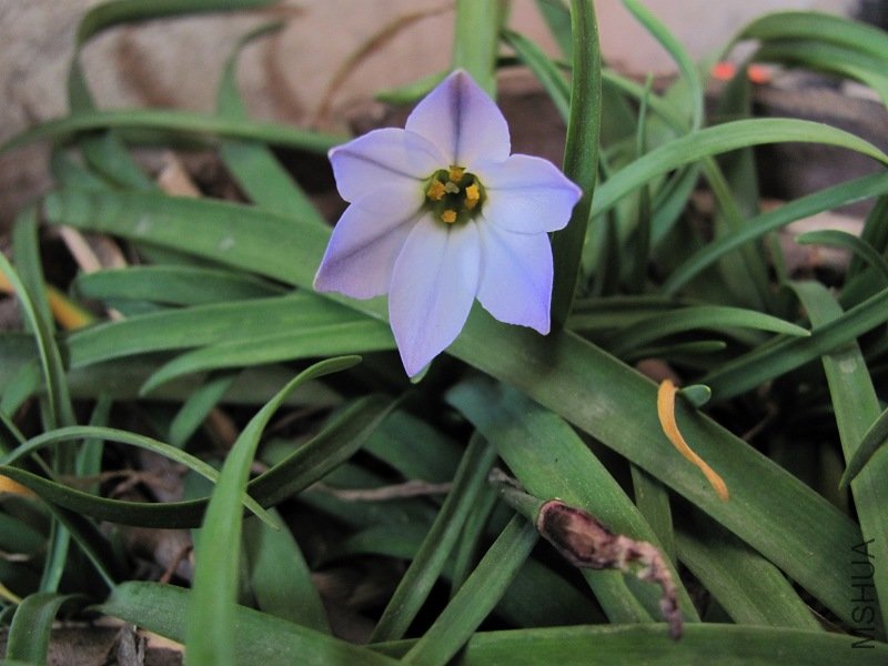 �ڶ���Ļ����ڵ����仨����