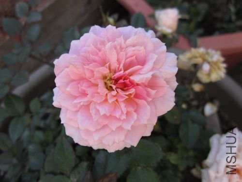 ��Ƭ1 1049.jpg