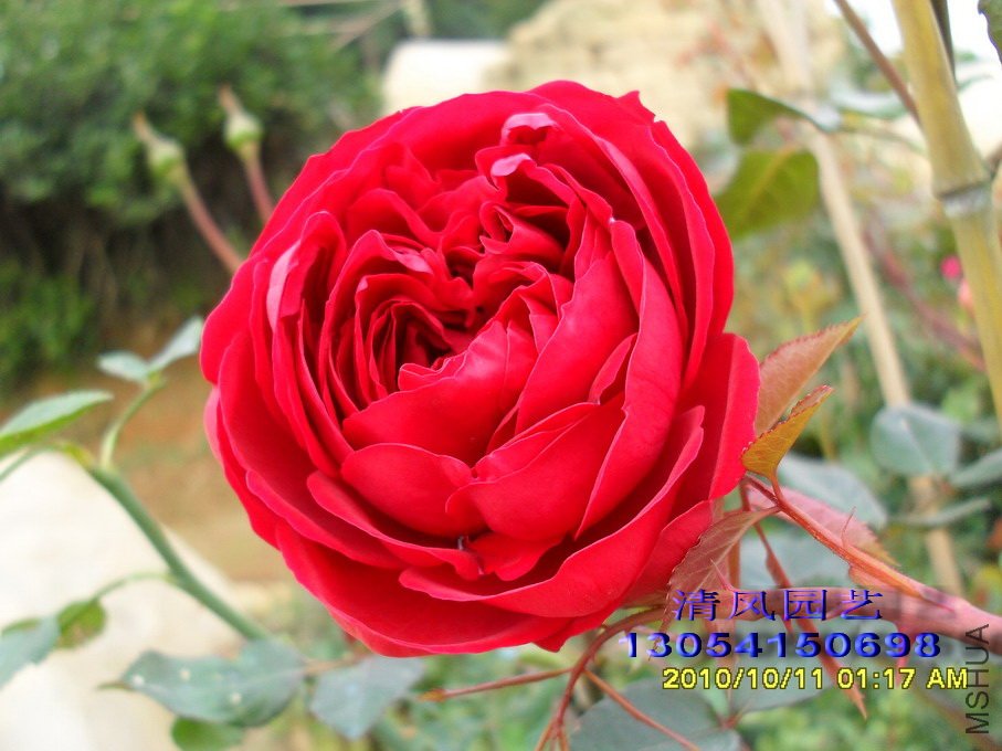 ���� (7).jpg