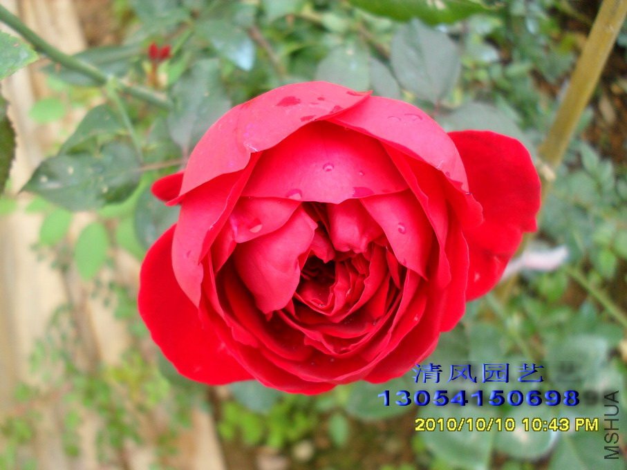 ���� (2).jpg