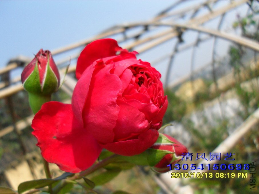 ���� (12).jpg